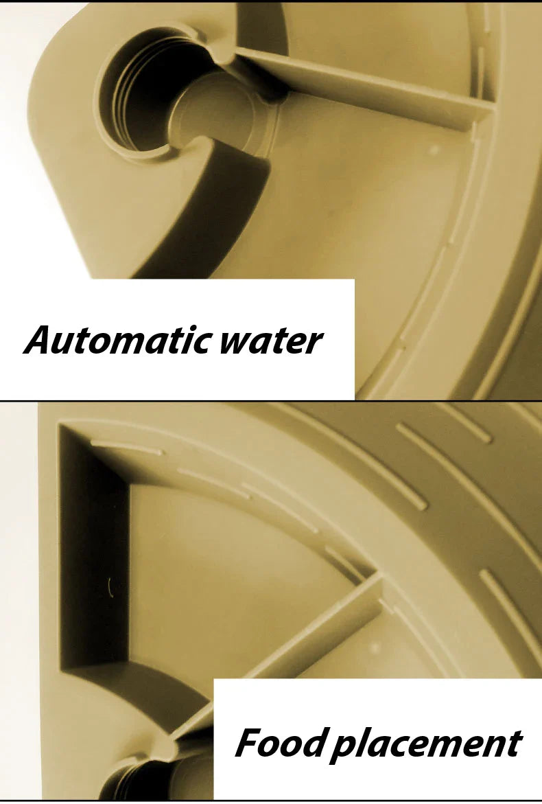 Alimentador automático para répteis