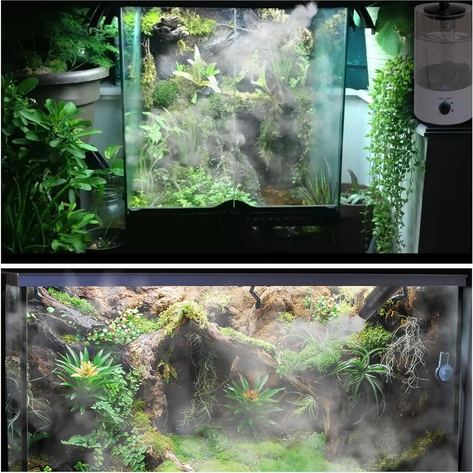 Umidificador de repteis 4L Terrário