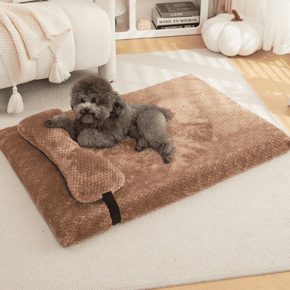 Caminha Pet Conforto