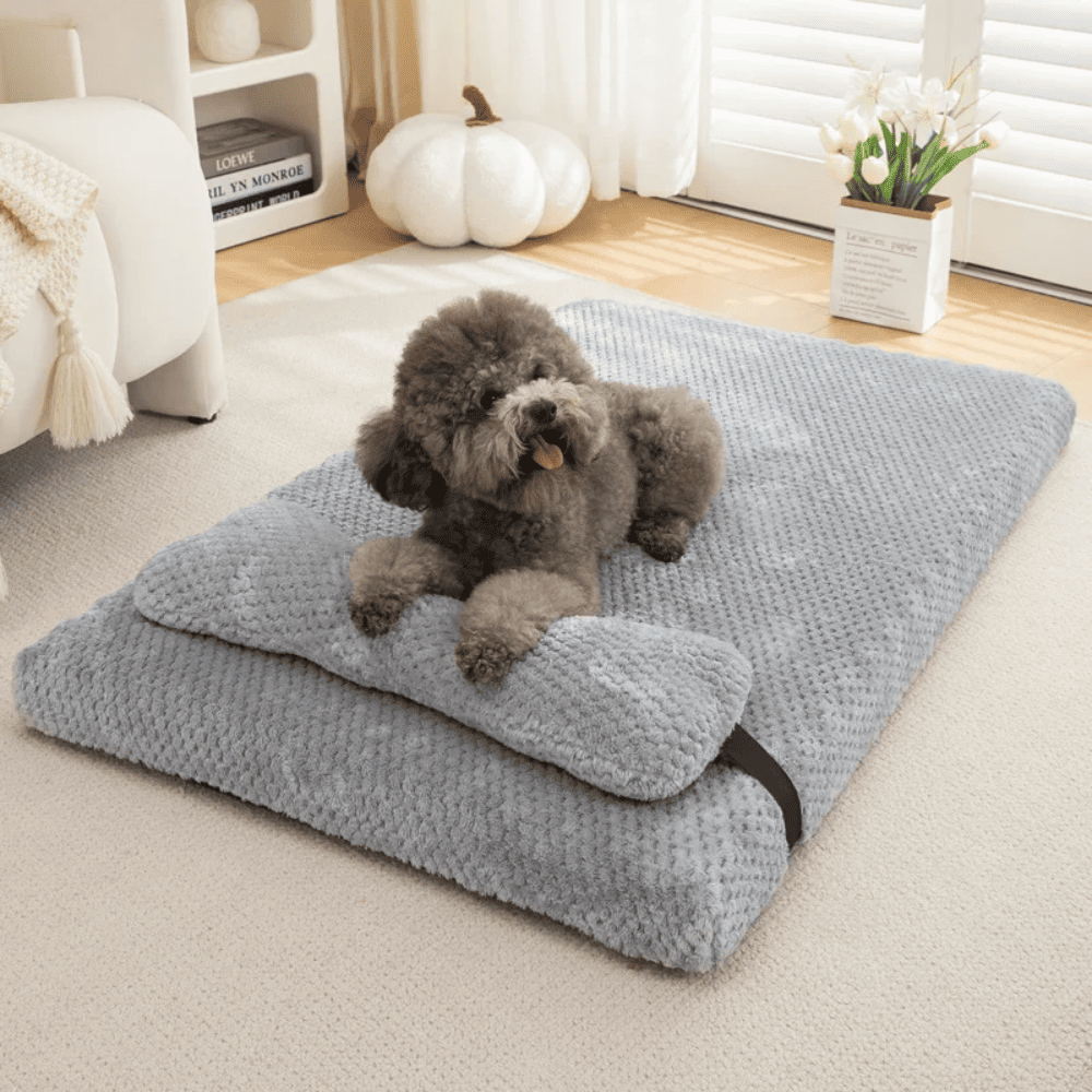 Caminha Pet Conforto