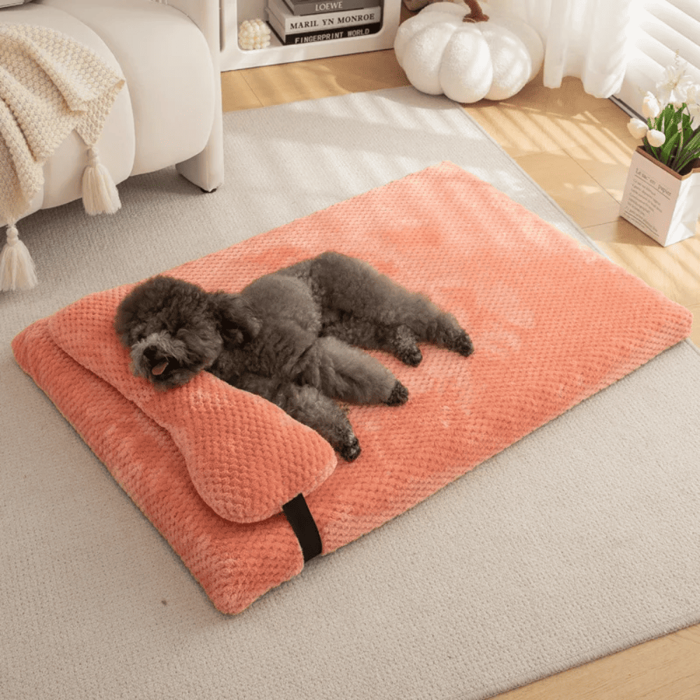 Caminha Pet Conforto
