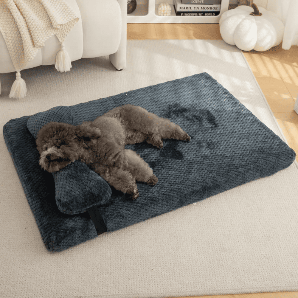 Caminha Pet Conforto