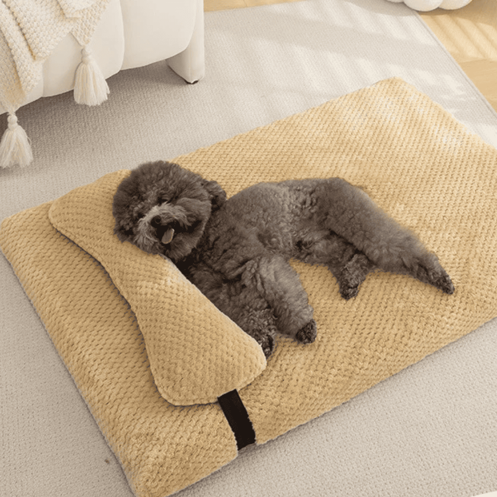 Caminha Pet Conforto