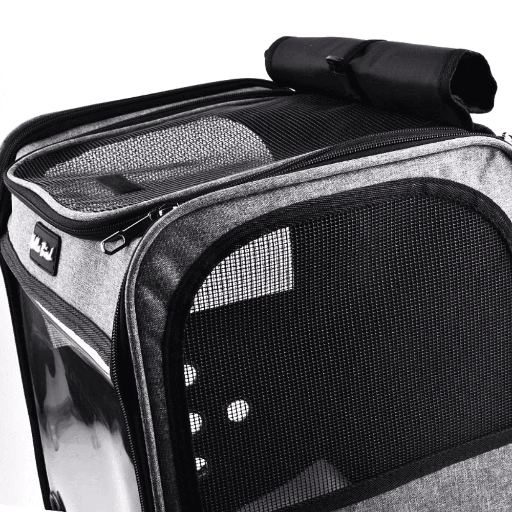 Mochila de Transporte para Pássaros