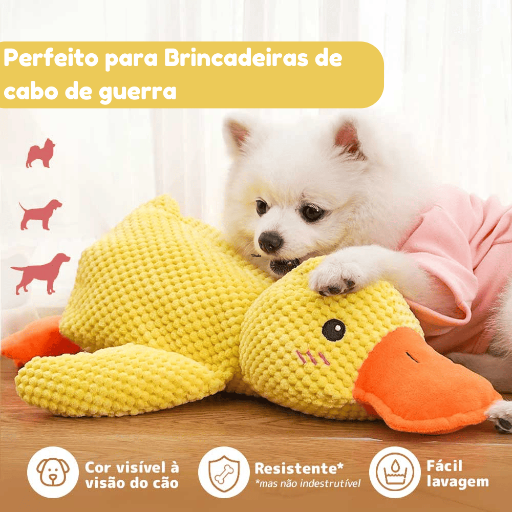 Pato Resistente Interativo