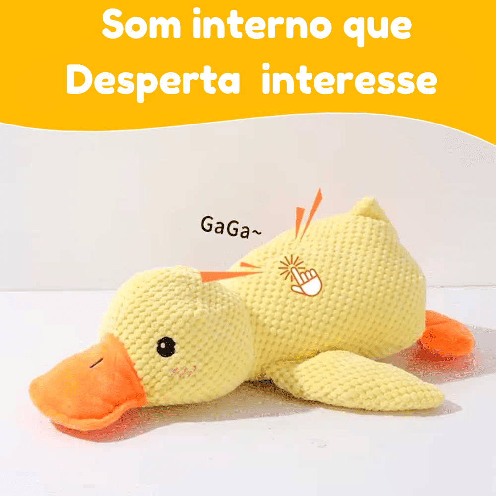 Pato Resistente Interativo