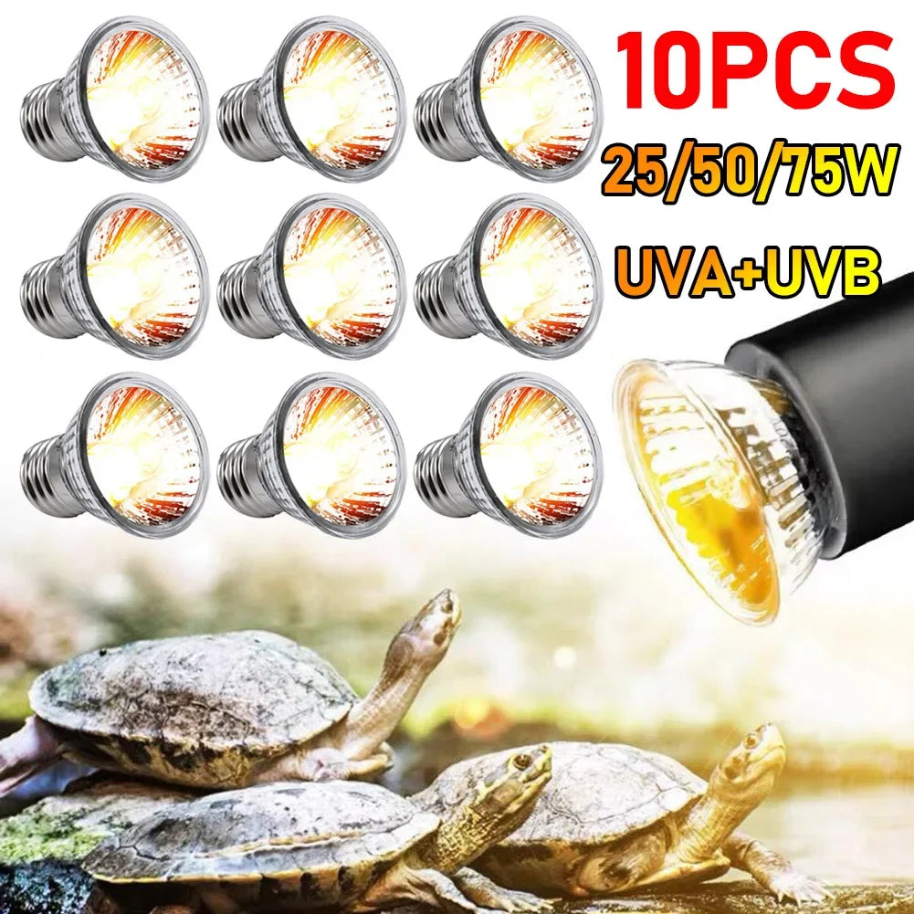 Lâmpada para répteis UVA e UVB, Basking para tartarugas, Luz UV, Luz de aqueci