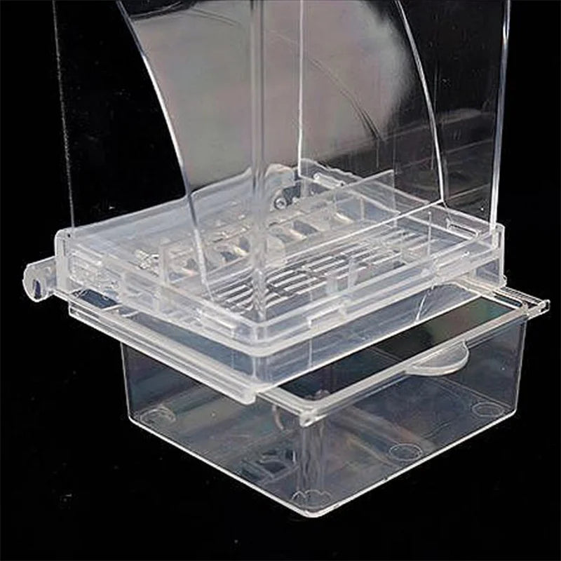 Alimentadores de pássaros alimentador automático de papagaio bebe