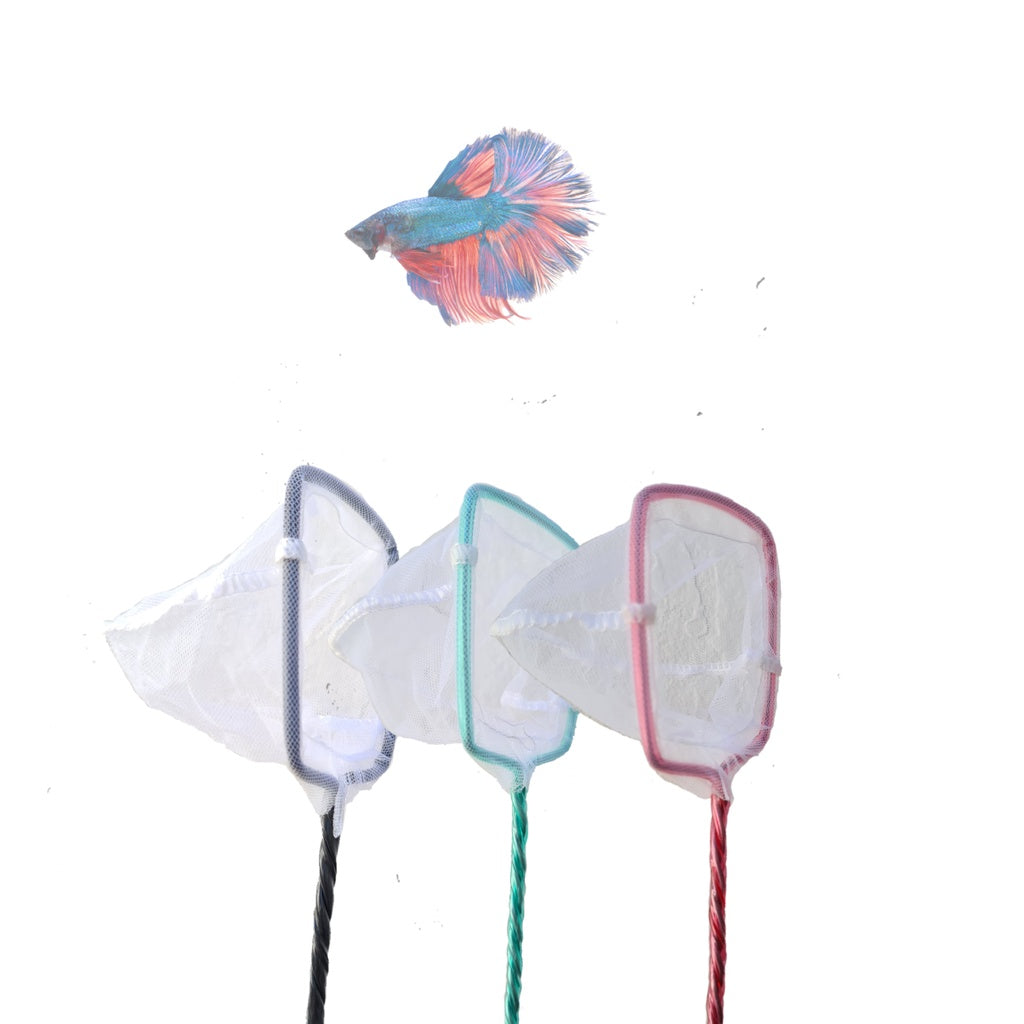 Redinha para Betta nº0  (6x6 cm) Peixes pequeno artemia