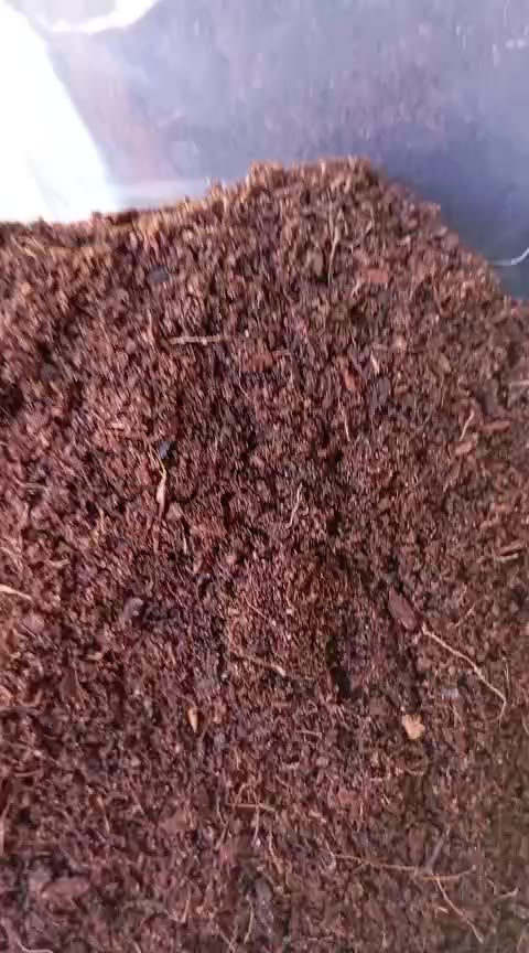 Substrato Pó de Coco 5L - Ideal para Jabutis, Cágados e Terrários!