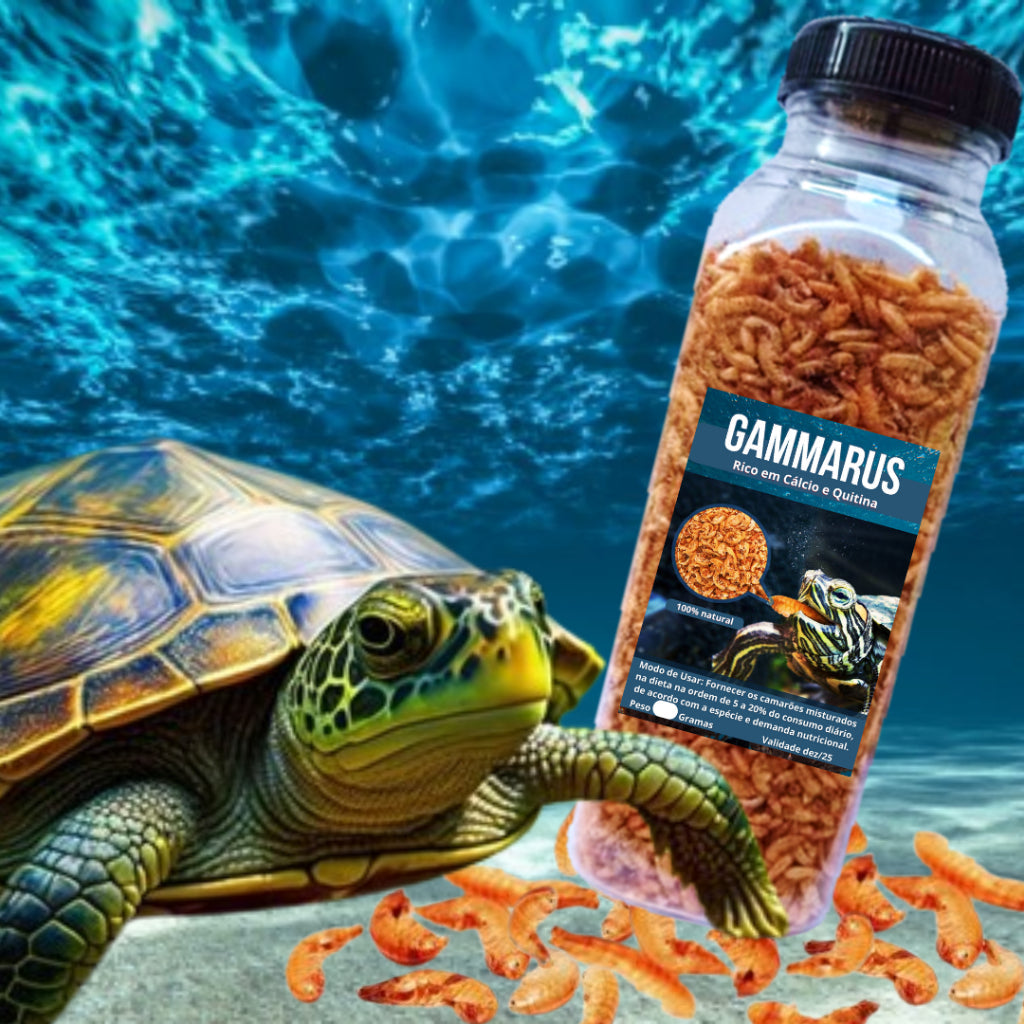 Camarão Gammarus Importado Pote 250ml/30g, 500ml/60g - Tartaruga Jabuti Rico em Cálcio Quitina
