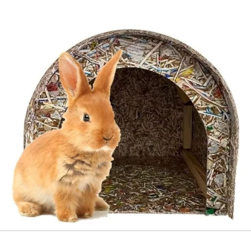 Toca Para Tartaruga Grande Jabuti Pequena Casinha Pet Coelho Galinha Codorna Chinchila Porquinho da Índia Ecológica Reciclável