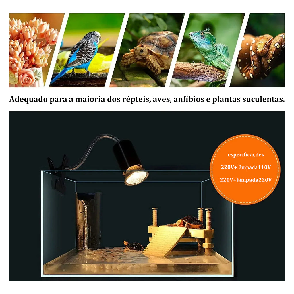 Aquecedor para Aquário e Répteis + 2 Lâmpadas (25W & 75W) 🔥🌿 | 110V/220V
